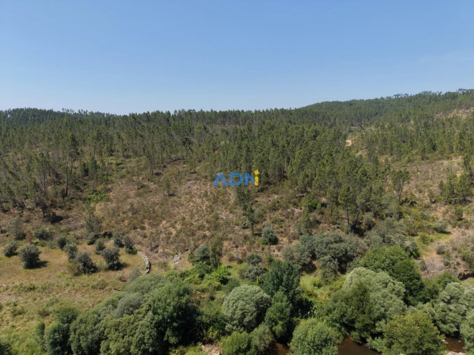 Terreno para Venda em Sarzedas Foto 7