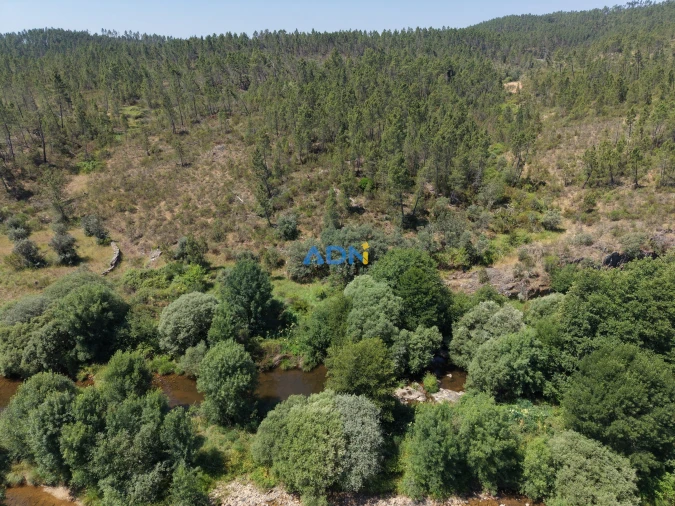 Terreno para Venda em Sarzedas Foto 5