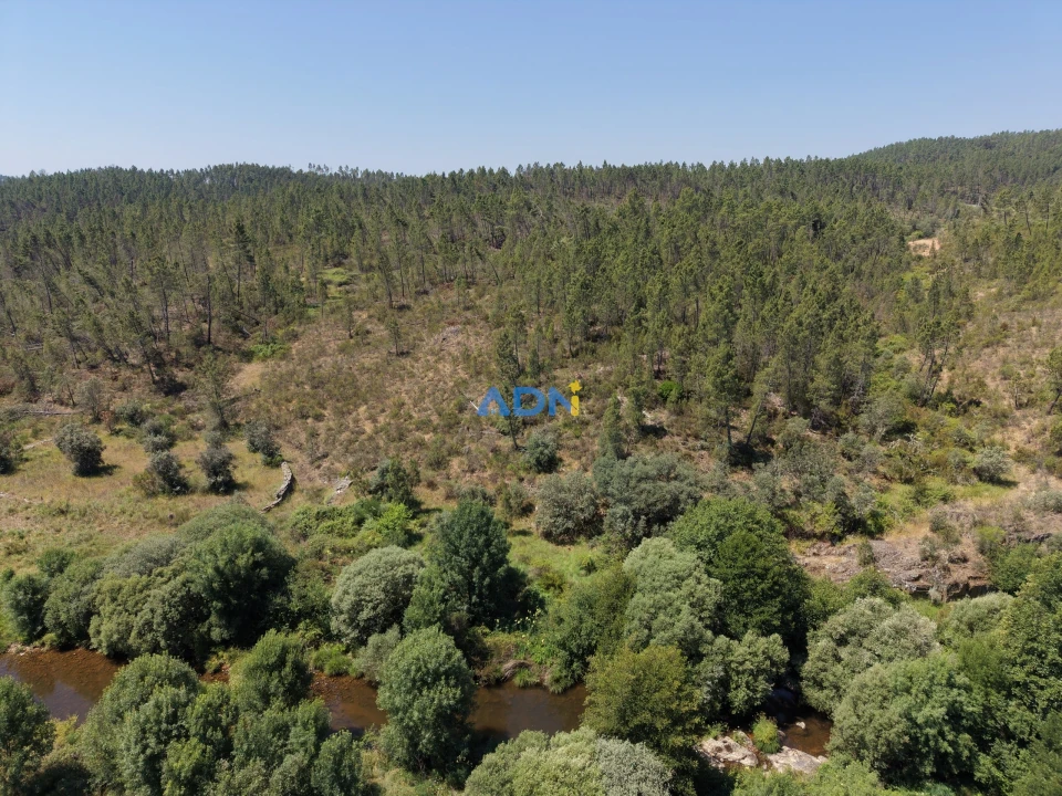 Terreno para Venda em Sarzedas Foto 4
