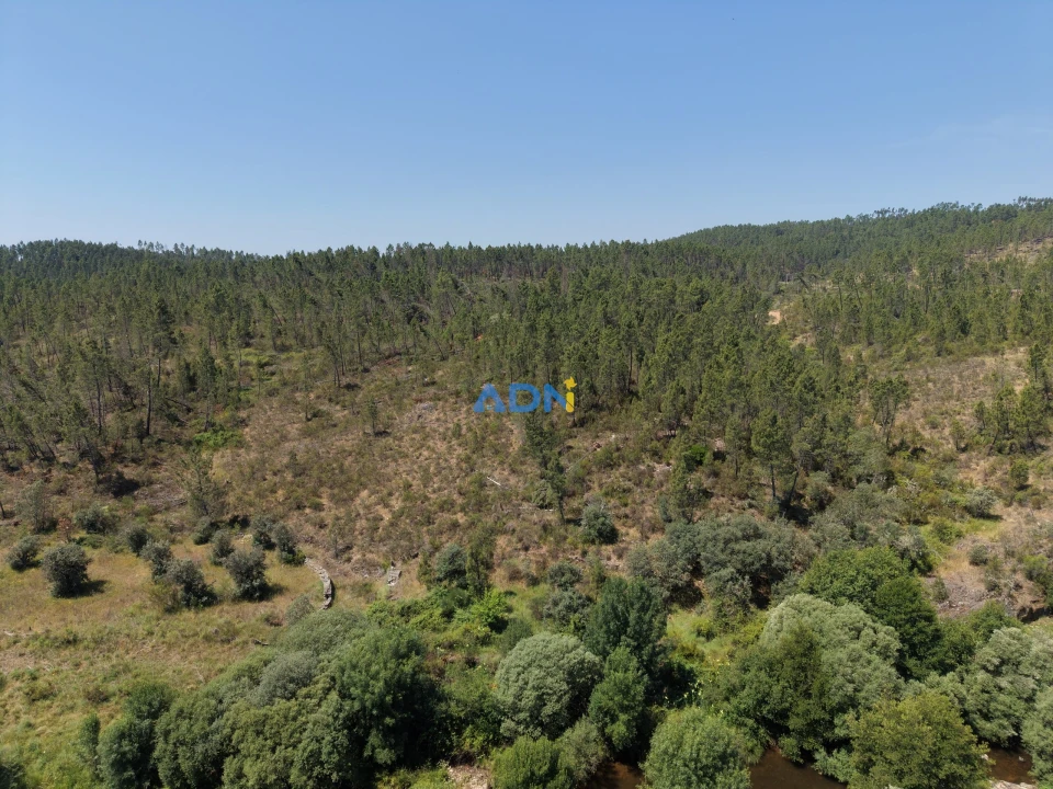 Terreno para Venda em Sarzedas Foto 7
