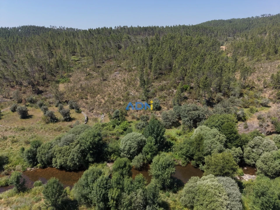 Terreno para Venda em Sarzedas Foto 6