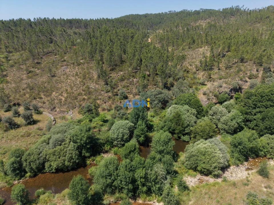 Terreno para Venda em Sarzedas Foto 8