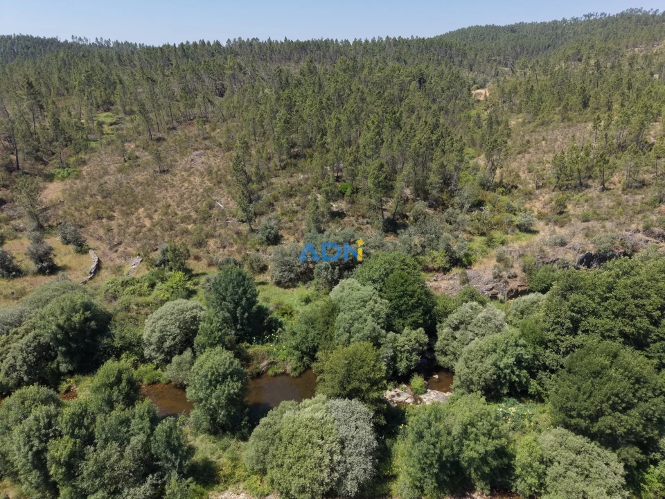 Terreno para Venda em Sarzedas Foto 3