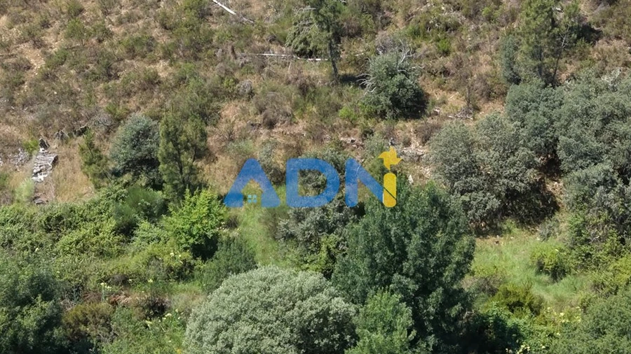 Terreno para Venda em Sarzedas