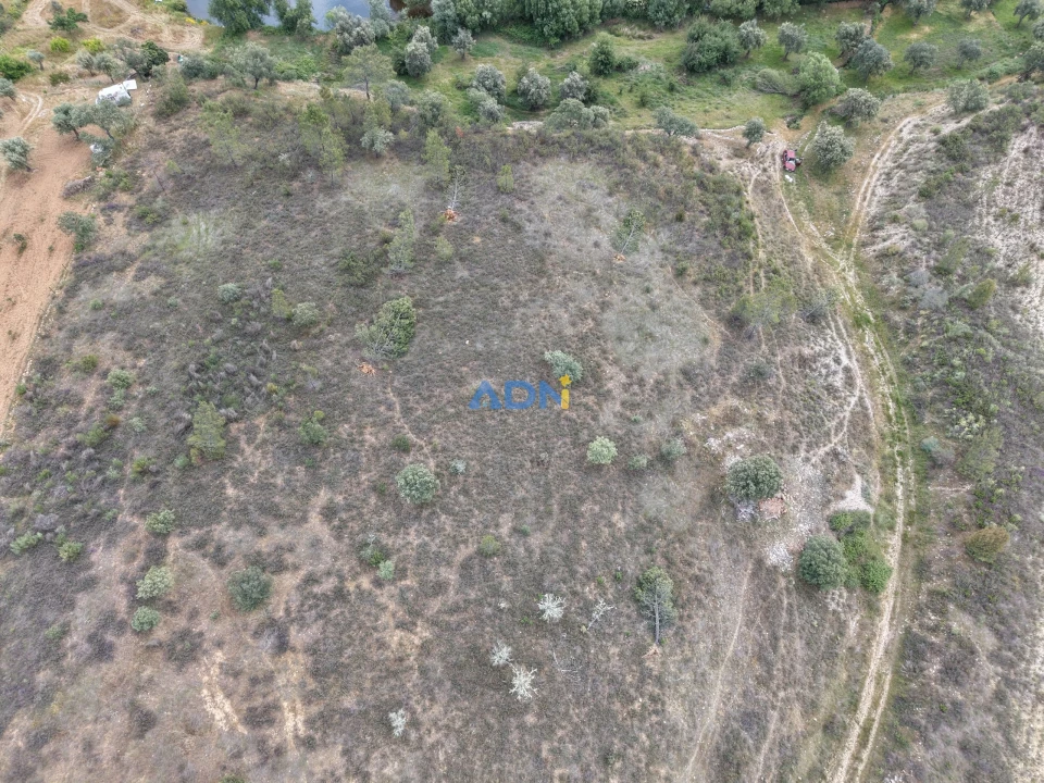 Terreno para Venda em Freixial e Juncal do Campo Foto 8