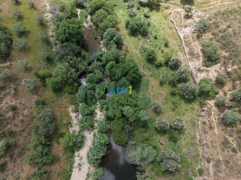 Terreno para Venda em Freixial e Juncal do Campo Foto 9