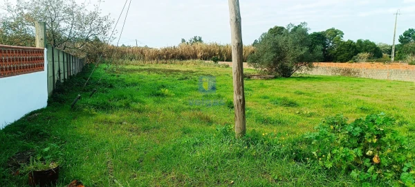 Armazém para Venda em Marinha Grande