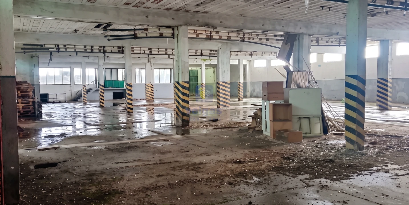 Armazém para Venda em Marinha Grande Foto 7