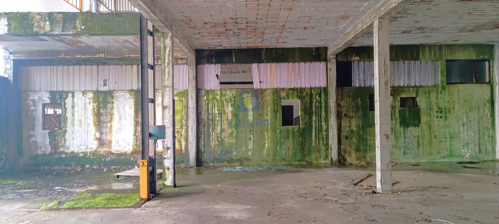 Armazém para Venda em Marinha Grande Foto 15