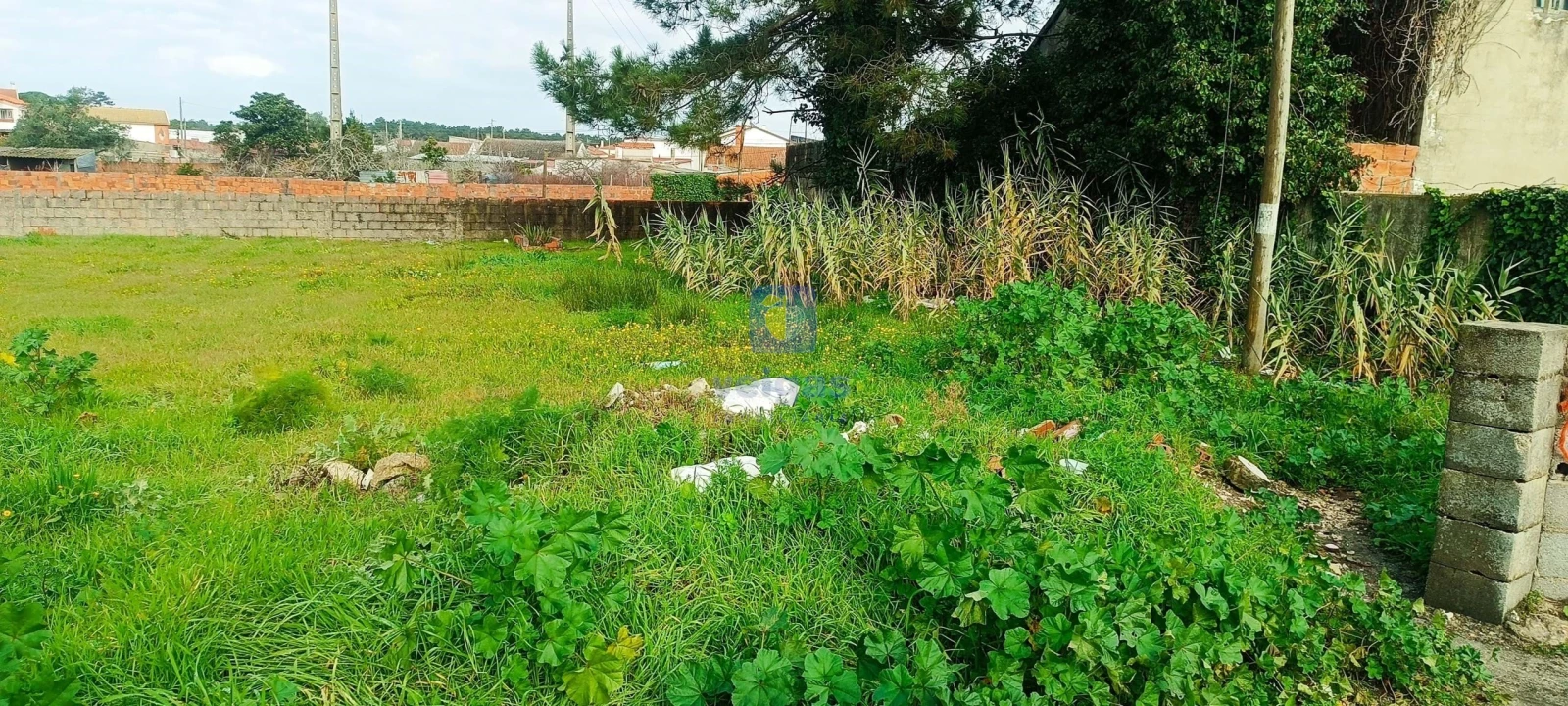 Armazém para Venda em Marinha Grande Foto 24