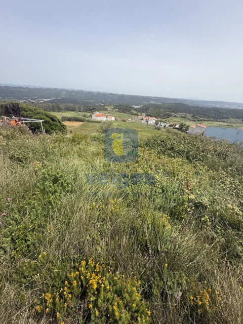 Terreno para Venda em Famalicão