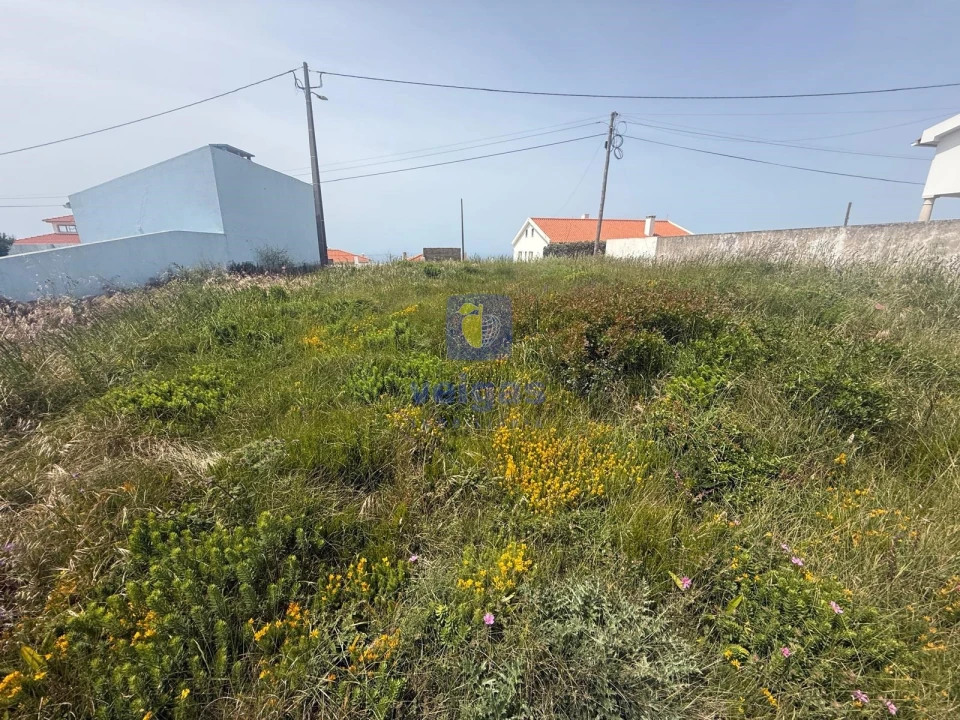 Terreno para Venda em Famalicão Foto 16