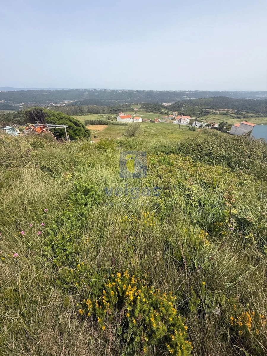 Terreno para Venda em Famalicão Foto 15