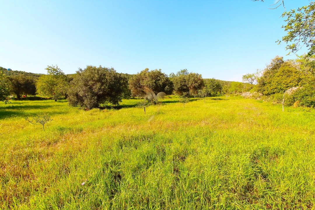 Terreno Agricola ou Rústico para Venda em Loule (São Sebastião) Foto 3