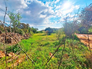 Terreno Agricola ou Rústico para Venda em Loule (São Sebastião)