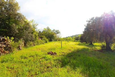 Terreno Agricola ou Rústico para Venda em Loule (São Sebastião)
