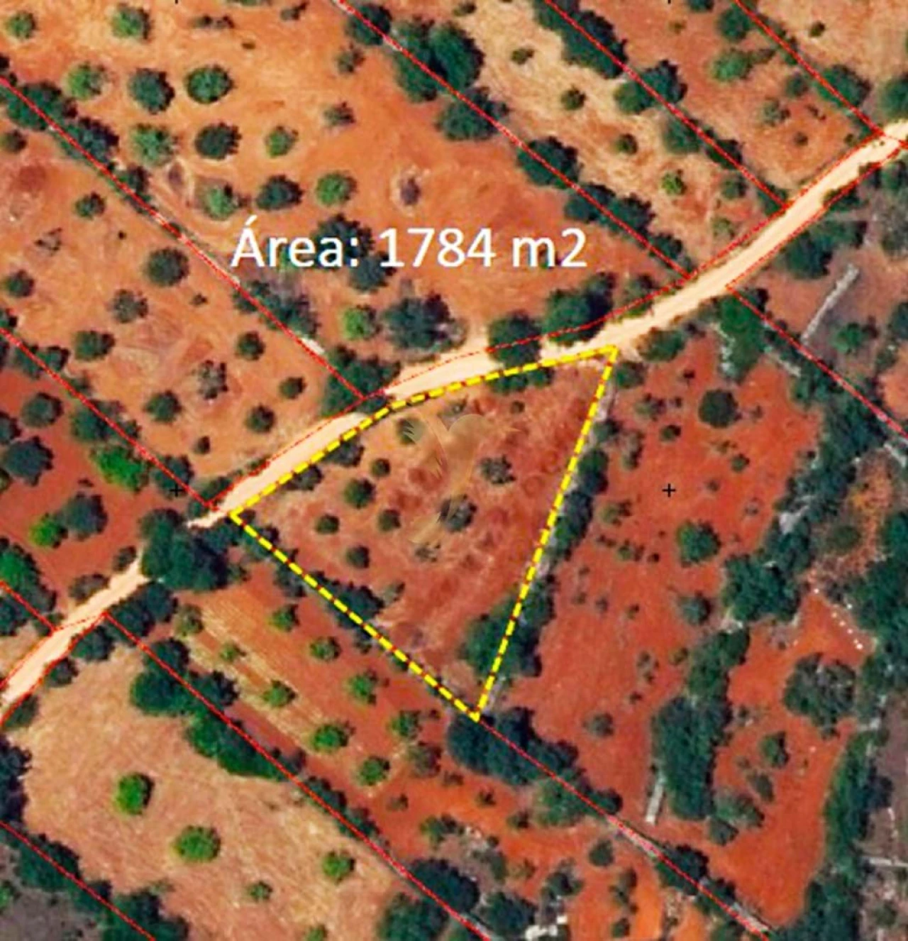 Terreno Agricola ou Rústico para Venda em Loule (São Sebastião) Foto 2