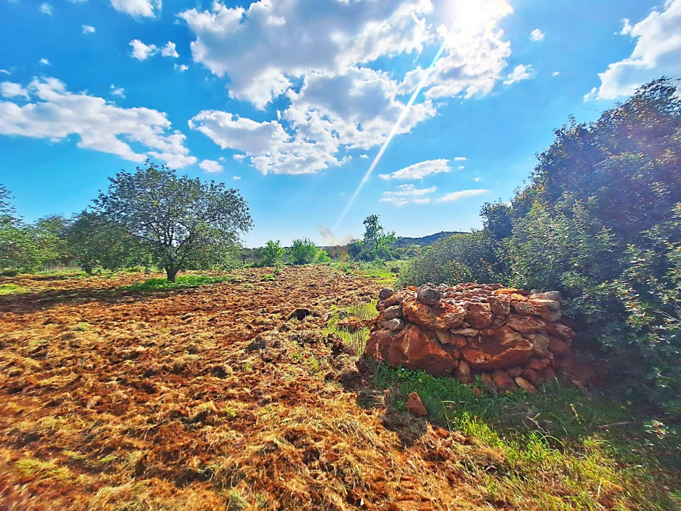 Terreno Agricola ou Rústico para Venda em Loule (São Sebastião) Foto 3