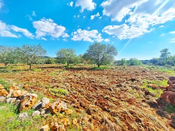 Terreno Agricola ou Rústico para Venda em Loule (São Sebastião)