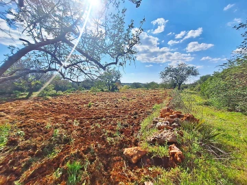 Terreno Agricola ou Rústico para Venda em Loule (São Sebastião)