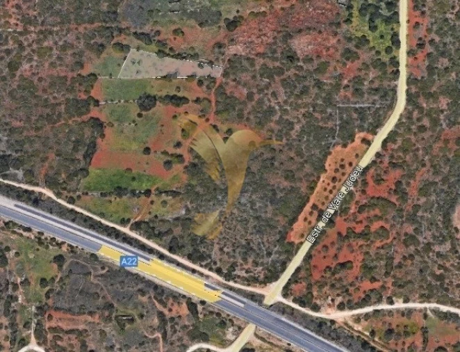 Terreno Agricola ou Rústico para Venda em Loule (São Sebastião) Foto 7