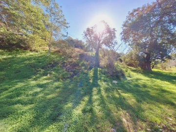 Terreno Agricola ou Rústico para Venda em Boliqueime