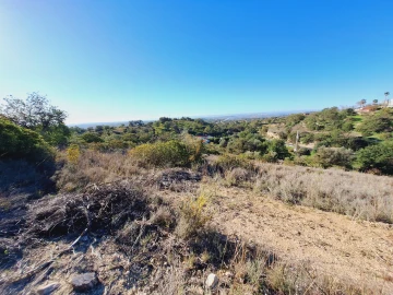 Terreno Agricola ou Rústico para Venda em Boliqueime