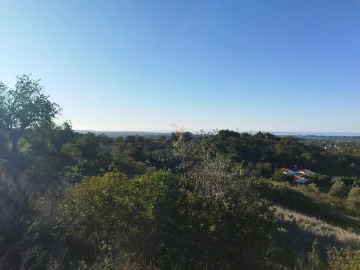 Terreno Agricola ou Rústico para Venda em Boliqueime
