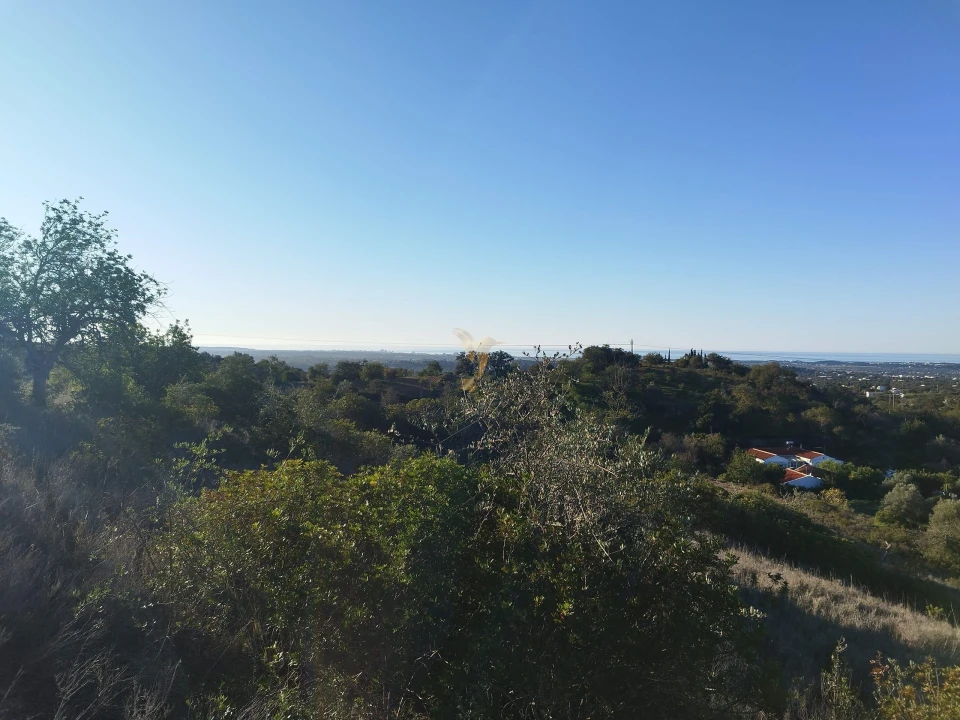 Terreno Agricola ou Rústico para Venda em Boliqueime Foto 16