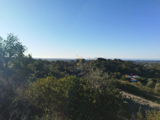 Terreno Agricola ou Rústico para Venda em Boliqueime Foto 16