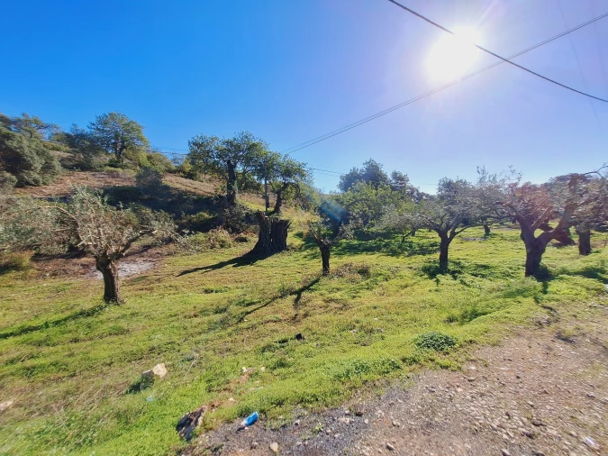 Terreno Agricola ou Rústico para Venda em Boliqueime Foto 8