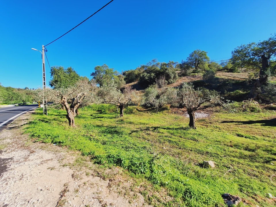 Terreno Agricola ou Rústico para Venda em Boliqueime Foto 2