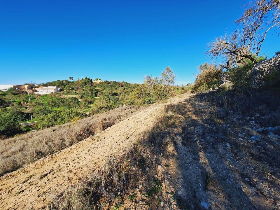 Terreno Agricola ou Rústico para Venda em Boliqueime Foto 4