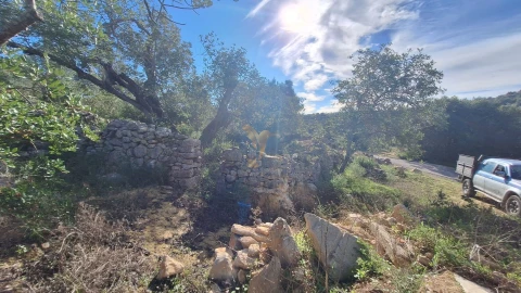 Terreno Agricola ou Rústico para Venda em Loule (São Sebastião)
