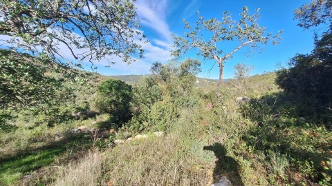 Terreno Agricola ou Rústico para Venda em Loule (São Sebastião)