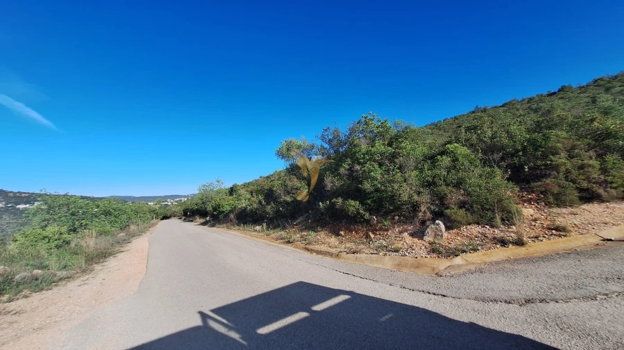 Terreno Agricola ou Rústico para Venda em Loule (São Sebastião) Foto 8