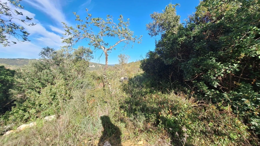 Terreno Agricola ou Rústico para Venda em Loule (São Sebastião) Foto 7