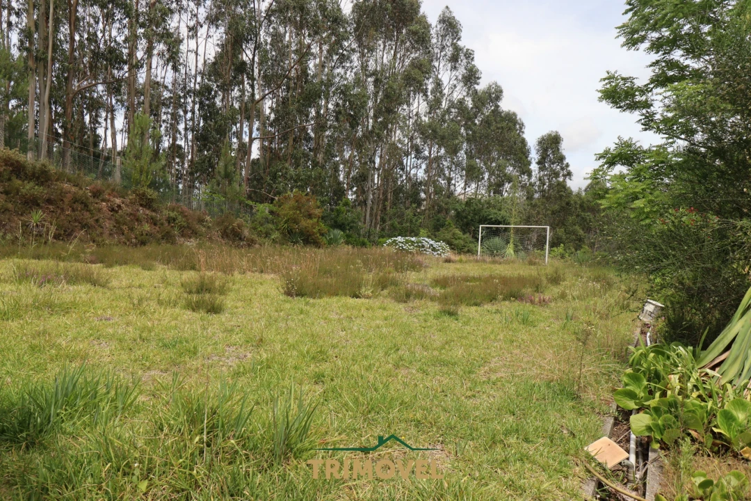 Moradia T3 para Venda em Ossela Foto 47