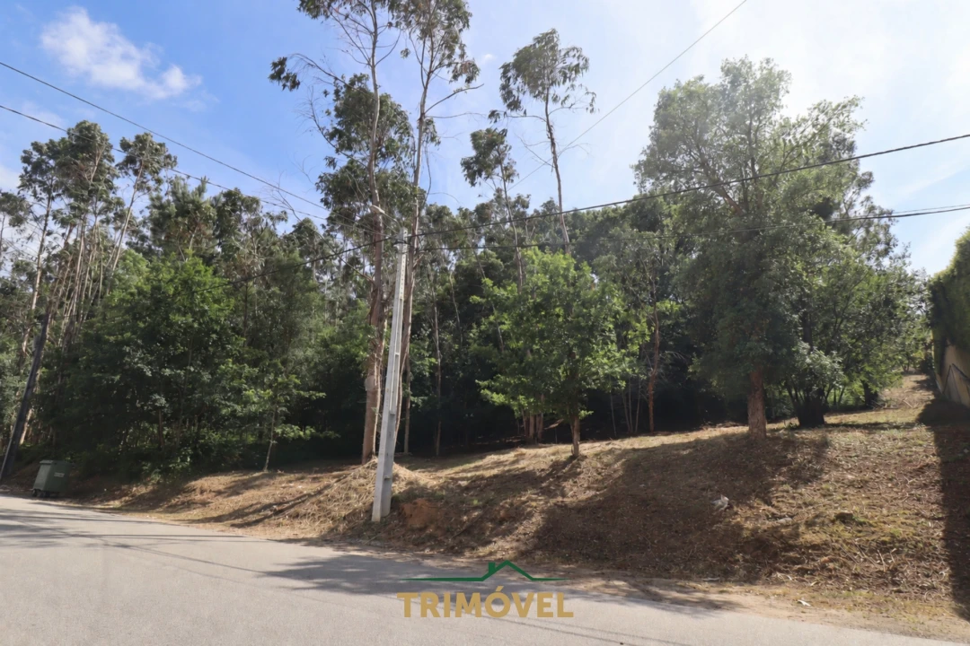 Terreno Agricola ou Rústico para Venda em São Roque Foto 3