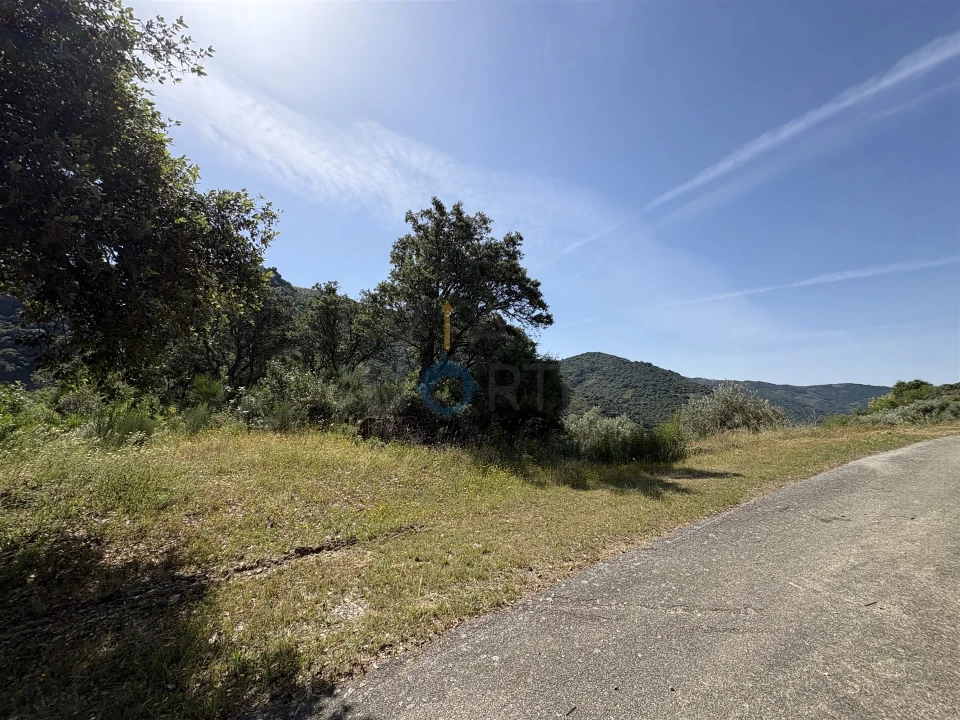 Terreno Agricola ou Rústico para Venda em Vilar Chão Foto 19