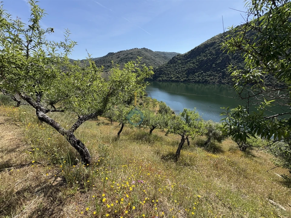 Terreno Agricola ou Rústico para Venda em Vilar Chão Foto 14