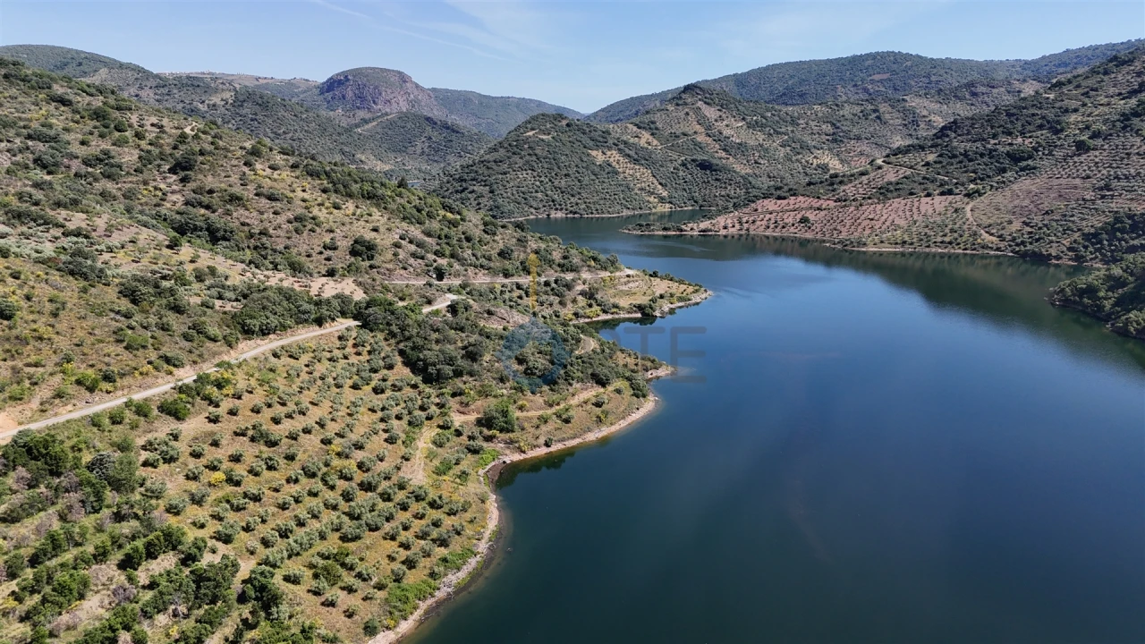 Terreno Agricola ou Rústico para Venda em Vilar Chão Foto 13