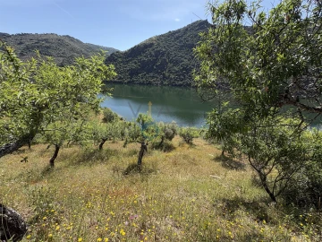 Terreno Agricola ou Rústico para Venda em Vilar Chão