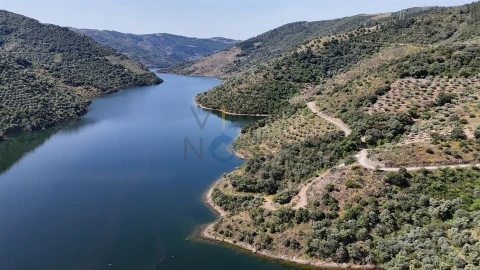 Terreno Agricola ou Rústico para Venda em Vilar Chão