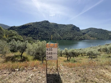 Terreno Agricola ou Rústico para Venda em Vilar Chão