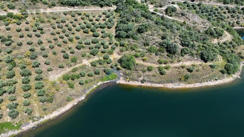 Terreno Agricola ou Rústico para Venda em Vilar Chão