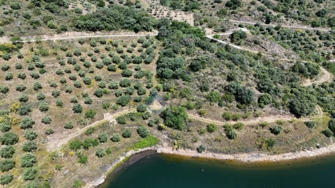 Terreno Agricola ou Rústico para Venda em Vilar Chão
