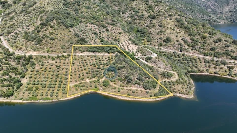 Terreno Agricola ou Rústico para Venda em Vilar Chão
