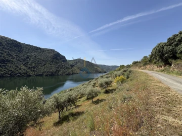 Terreno Agricola ou Rústico para Venda em Vilar Chão