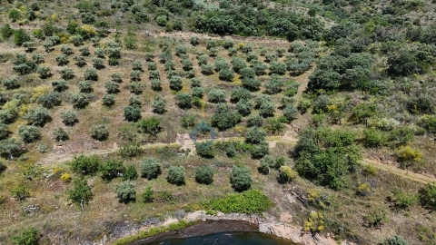 Terreno Agricola ou Rústico para Venda em Vilar Chão